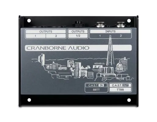 Cranborne Audio N22 Cat 5 Snake & C.A.S.T. Breakout Box