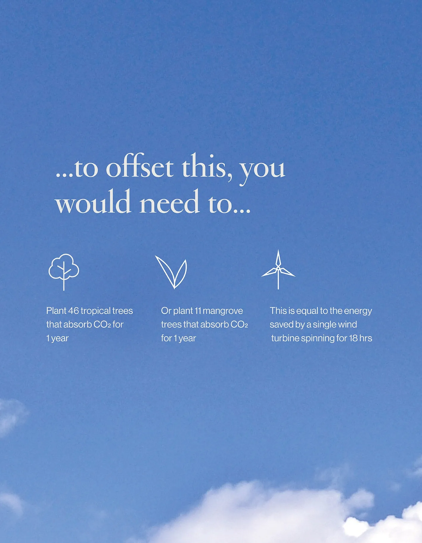 Offset Your Next Trip