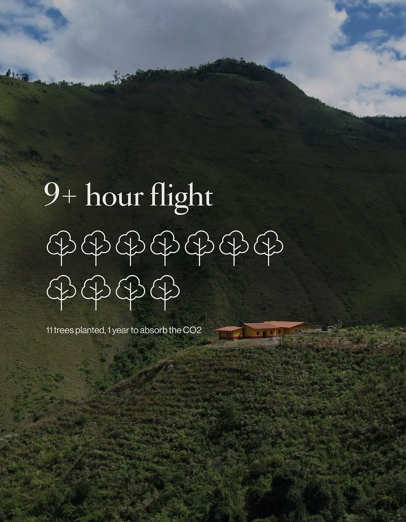 Offset Your Next Trip