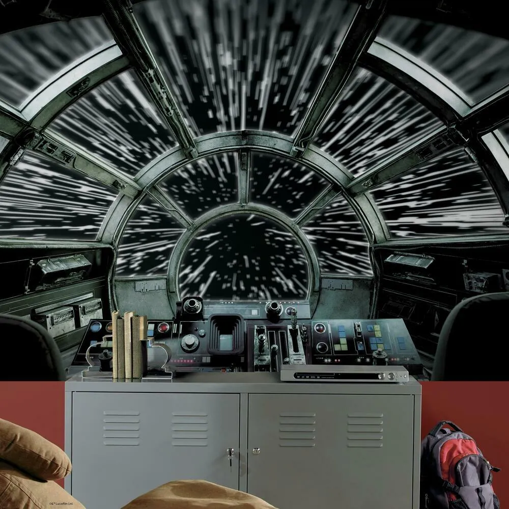 Star Wars Millennium Falcon Peel and Stick Mural