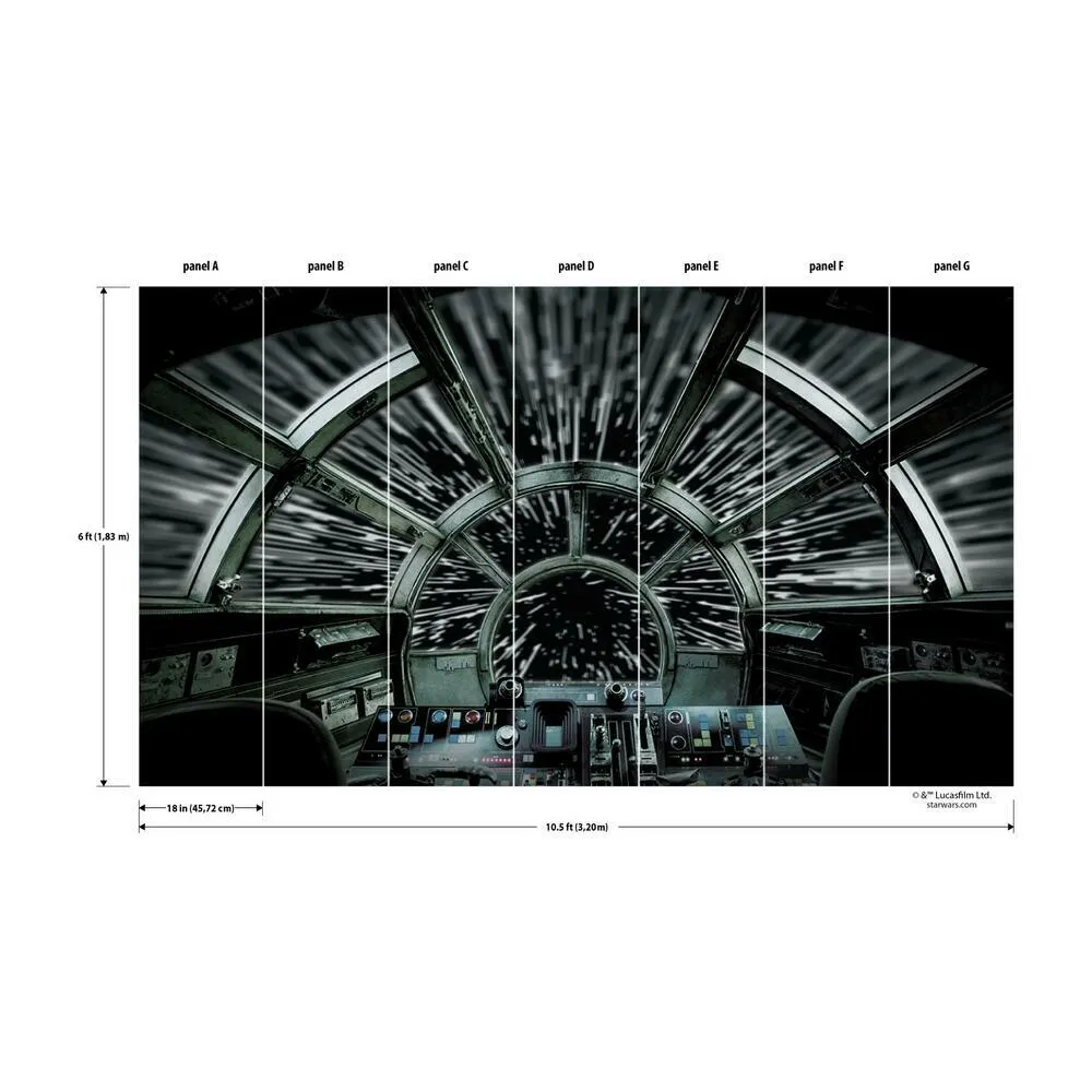 Star Wars Millennium Falcon Peel and Stick Mural