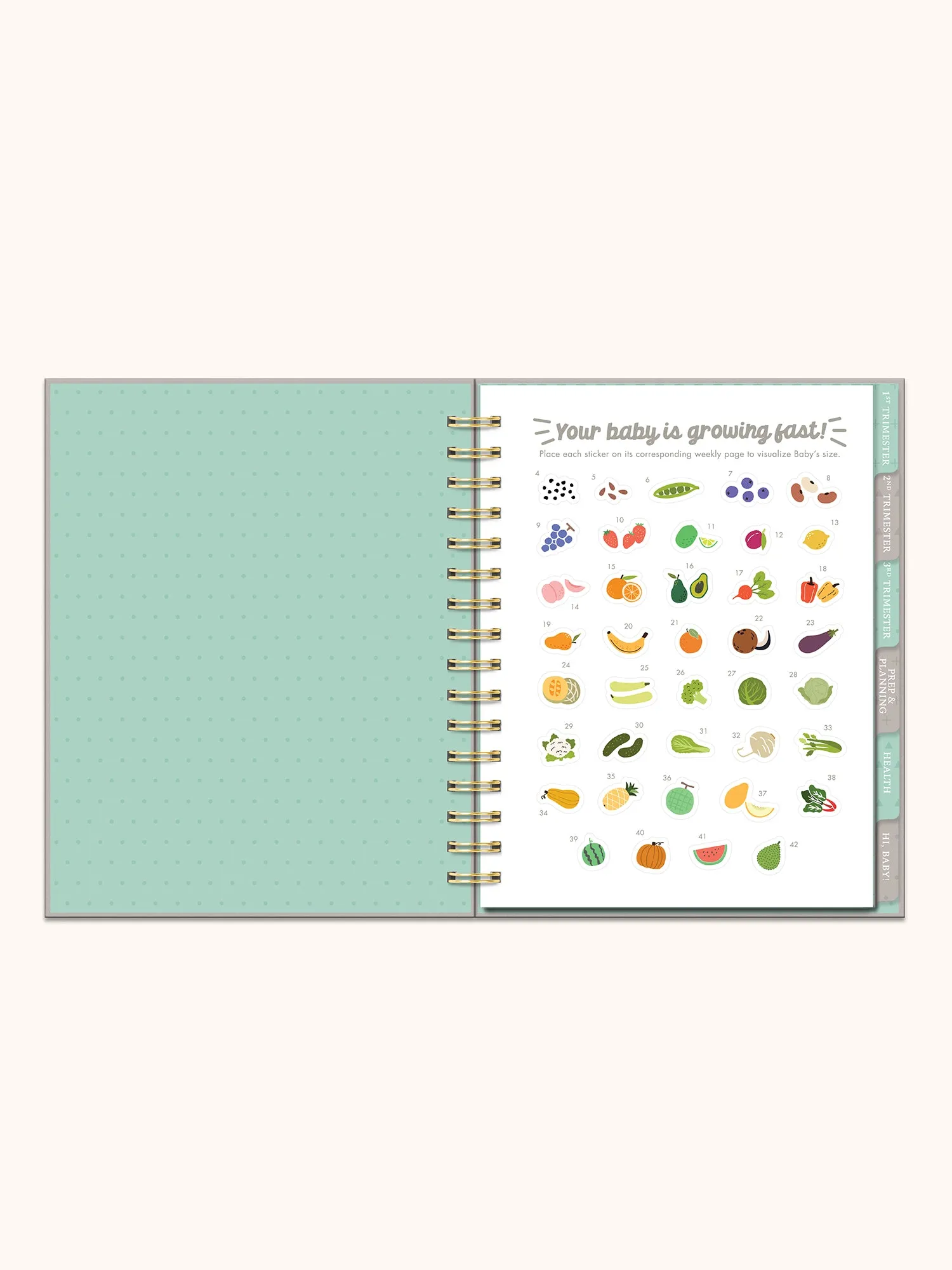 Undated Pregnancy Planner & Journal