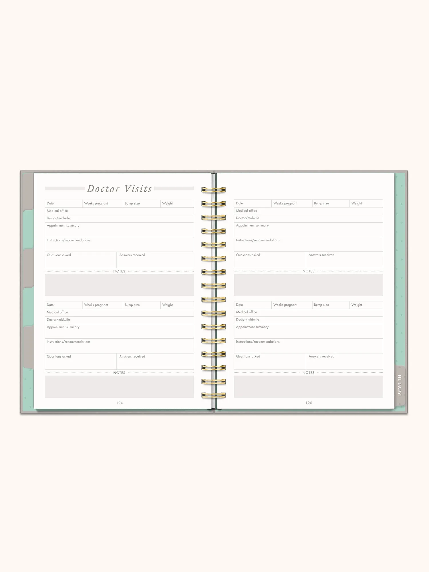 Undated Pregnancy Planner & Journal